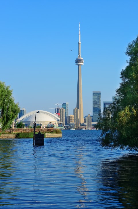 toronto skyline from park Small